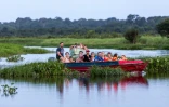 Des touristes visitent la Réserve Naturelle des Marais de Kaw en Guyane, le 26 octobre 2016