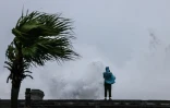 Une personne observe la côte taïwanaise touchée par le typhon Bavi à Keelung (nord-est), le 11 juillet 2026