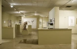 Exposition &quot;Métissages&quot; au musée Léon Dierx (Saint-Denis)
