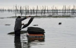 Didier Dubos travaille dans le parc à huîtres du Courbey, le 6 décembre 2017
