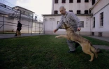 Un détenu et un chien le 7 février 2016 dans la prison de Debrecen en Hongrie