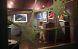 L'aquarium de La Réunion à Saint-Gilles