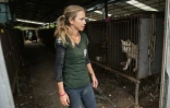 Lola Webber, qui travaille pour la HS et sauve des chiens de la consommation en Corée du Sud