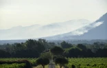 Fumées des incendies dans le Var, le 17 août 2021 près de Gonfaron