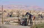 Des puits de pétrole à perte de vue, près de la ville de Taft en Californie, le 21 septembre 2023