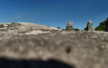 Les mégalithes de Carnac, le 4  juillet 2025 qui viennent d'être classés par l'Unesco au patrimoine mondial