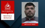 Notice Rouge publiée par Interpol, le 15 mai 2024, contre le fugitif Mohamed Amra