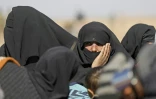 Des civils fuyant les combats entre les Forces démocratiques syriennes (FDS) et le groupe Etat islamique (EI) dans l'est de la Syrie, sont interrogés par les FDS le 3 février 2019