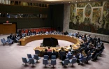 Réunion du Conseil de sécurité de l'ONU sur l'Ukraine, le 29 avril 2025 à New York