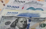 Des billets de 20.000, 10.000 et 2.000 pesos argentins et un billet de 10 dollars américains, le 11 avril 2025 à Buenos Aires