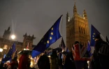 Des opposants au Brexit manifestent à Londres le 29 janvier 2019