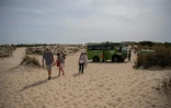 Le parc naturel de Donana à Ayamonte, dans la province de Huelva, le 20 mai 2022