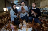 Fabien Sauleman (C), co-fondateur de Poulehouse, son associée Elodie Pellegrin  (G) et Sebastien Neusch, responsable du numérique et du marketing posent parmi les poules de la ferme de Coussac-Bonneval (40 km au sud de Limoges), le 6 avril 2018