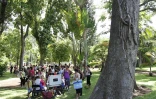 Carnaval au jardin de l'Etat