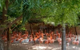 Des flamants roses dans un enclos au au centre Vantara de sauvetage et de conservation de la faune, le 25 septembre 2026 à Jamnaga, en Inde