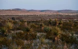 Désert au crépuscule, le 30 janvier 2020 près de Marfa au Texas