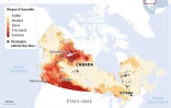Incendies au Canada : niveaux de risque et périmètres des feux