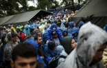 Des migrants attendent d'entrer en Croatie dans la ville serbe de Berkasovo, le 19 octobre 2015