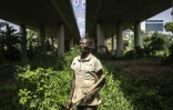 L'agriculteur Haruna Amadou dans une ferme urbaine du quartier d'affaires d'Abuja, le 23 mai 2025 au Nigeria