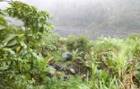 Lundi 8 Mars 2010

Recherche des canyoneurs disparus dans la riviére du Mât