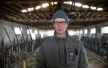Pour le fermier allemand Heiner Luetke Schwienhorst, l'Etat doit rendre des comptes sur les objectifs climatiques non tenus. Dans sa ferme Ă Vetschau, le 27 novembre 2018