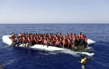 Image fournie par la Croix rouge italienne de migrants secourus au large de la Libye, le 18 août 2016