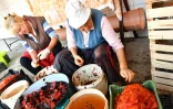 Des femmes pèlent les poivrons qui ont été cuits pour préparer l'ajvar, le 24 septembre 2017 à Ljetovik