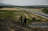 Stéphane Paoli (g), technicien de l'ONF, et Jean-Paul Baylac, chef du service des incendies de forêt du Service d'incendie et de secours de l'Aude, inspectent une zone touchée par un récent incendie de forêt, à Luc-sur-Orbieu, près de Narbonne, le 19 août 2025