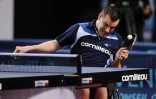 Le pongiste Florian Merrien, triple médaillé olympique, ici lors des Championnats de France de tennis de table, le 2 mars 2014 au Vendespace à Mouilleron-le-Captif