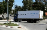 Un camion frigorifique transporte des doses de vaccins Pfizer/BioNTech et AstraZeneca attribués dans le cadre du programme Covax, le 17 mars 2021 à Ramallah
