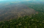 Des zones de déforestation de la forêt amazonienne, le 24 août 2019 près de Boca do Acre, au Brésil