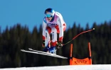Le Suisse Marco Odermatt lancé sur la piste de la descente de Beaver Creek, le 4 décembre 2021