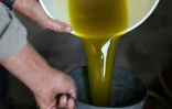 Production d'huile d'olive dans une usine du village d'Assira al-Shamaliya, le 25 octobre 2021