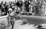 L'actrice américaine Jayne Mansfield pose pour les photographes dans le bassin de l'hotel Carlton, le 12 mai 1964, lors du Festival de Cannes