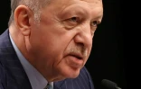 Le président turc Recep Tayyip Erdogan le 18 janvier 2022 au palais présidentiel à Ankara