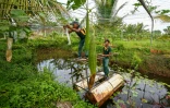 Des soldats de la Force opérationnelle spéciale sri-lankaise (STF) travaillent dans une plantation à Katukurunda pour remettre en culture des champs pollués par le sel de la mer, le 28 mars 2025 au Sri Lanka