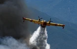 Un Canadair largue de l'eau sur un incendie de forêt près de Trévillach, le 5 juillet 2026