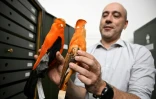 Le biologiste Andrés Cuervo, conservateur de la collection d'Ornithologie de l'Institut des Sciences Naturelles, montre des espèces embaumées dans le laboratoire de recherche scientifique de l'Université nationale de Bogota, le 23 février 2024 en Colombie