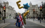 Un militant anti-Brexit manifeste près du Parlement à Londres le 27 mars 2019