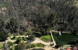 Vue aérienne montrant le reboisement d'une zone touchée par l'incendie de février dernier au jardin botanique de Viña del Mar, au Chili, le 18 décembre 2024