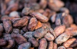 Des fèves de cacao dans les ateliers de la chocolaterie Makaya à Petionville (Haïti) le 23 décembre 2020