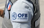 La population de loups sauvages ne pouvant être comptée précisément, l'Office français de la biodiversité (OFB), organisme public en charge du suivi du loup, publie une fourchette