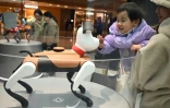 Un enfant interagit avec un chien de compagnie doté d'intelligence artificielle dans un magasin de l'entreprise technologique Weilan à Nanjing, dans la province du Jiangsu, le 9 janvier 2025 dans l'est de la Chine