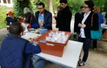 Distribution d'oeufs de coccinelles à Caen, le 12 mai 2017