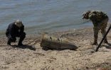 Des artificiers ukrainiens examinent les restes d'une bombe russe FAB-500 repêchée dans la mer Noire près d'Odessa, le 29 avril 2025