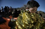 Des réfugiés arrivent sur l'île grecque de Lesbos le 2 novembre 2015