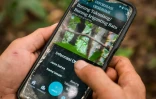 Octavius affiche sur son téléphone portable une photo d’un oiseau qu’il a capturé à l’aide d’un téléobjectif fixé à son téléphone, dans une forêt du village de Labian, à Kapuas Hulu, à Bornéo, le 2 septembre 2026