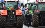 Un policier marche près de tracteurs bloquant l'autoroute A6, le 1er février 2024 près de Chilly-Mazarin en Essonne