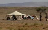 Tente nomade dans la réserve naturelle de M'Hamid El Ghizlane, aux portes du Sahara dans le sud du Maroc, le 13 avril 2025
