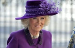 Camilla, l'épouse du prince Charles, le 13 mars 2017 à Londres